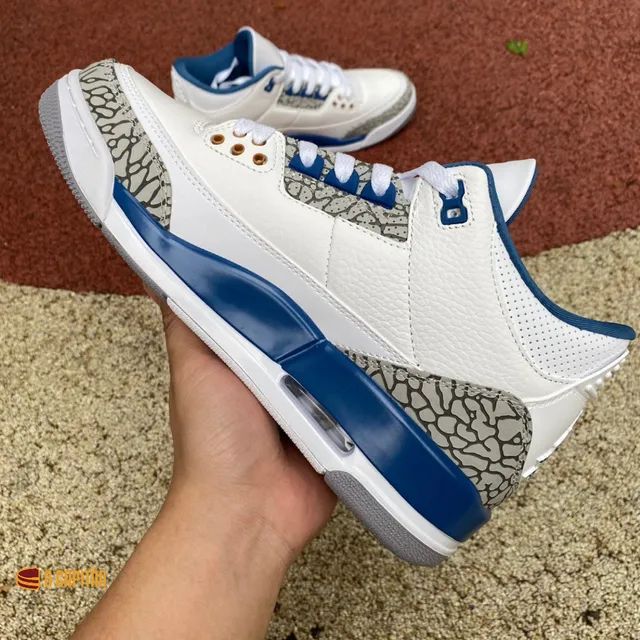 Air Jordan 3 RETRO "Wizards"