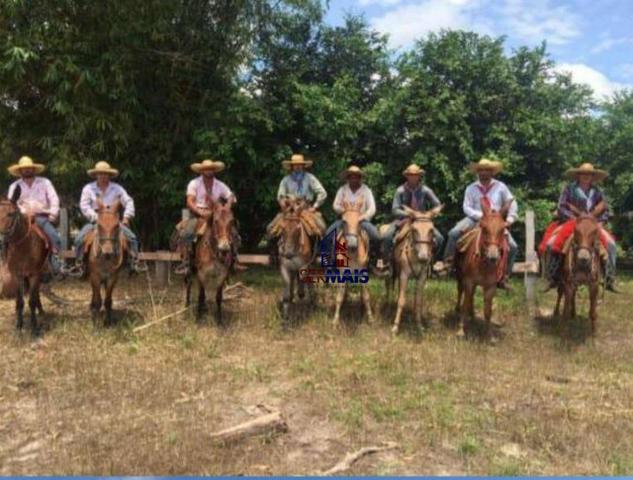 Belíssima fazenda a venda na divisa de Rondônia com o estado de mato grosso - Foto 13