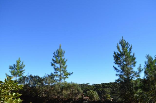 Terreno à venda, 831 m² por r$ 290.000,00 - mato queimado - gramado/rs - Foto 12
