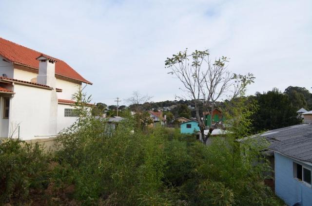 Terreno residencial à venda, são josé, canela. - Foto 7