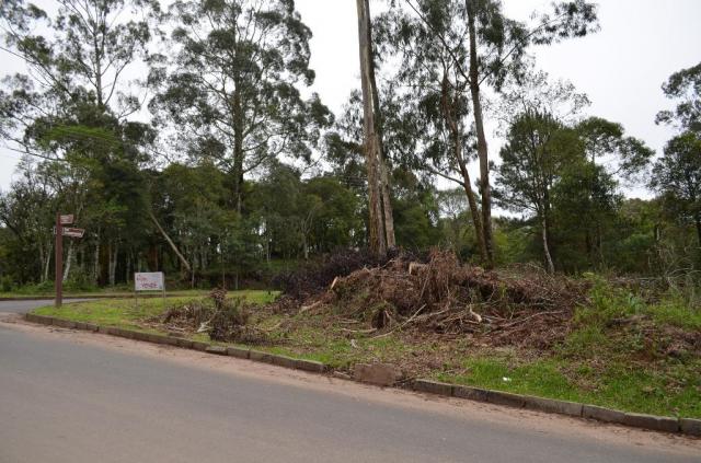 Terreno residencial à venda, casa grande, gramado. - Foto 2