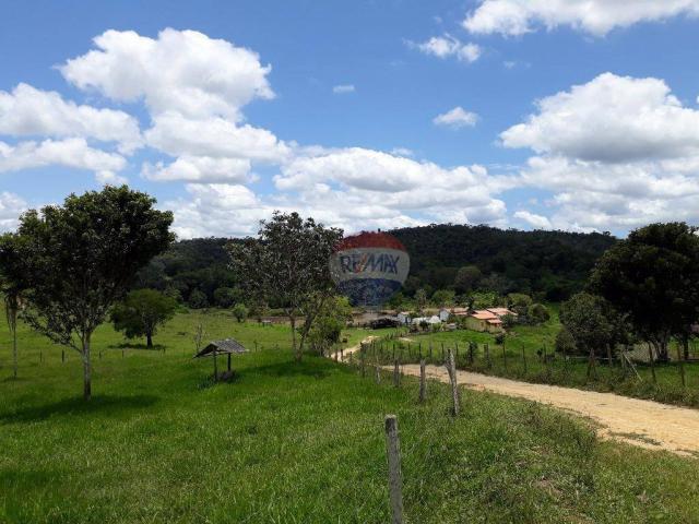 Fazenda à venda em Porto Seguro (Vera Cruz), Bahia