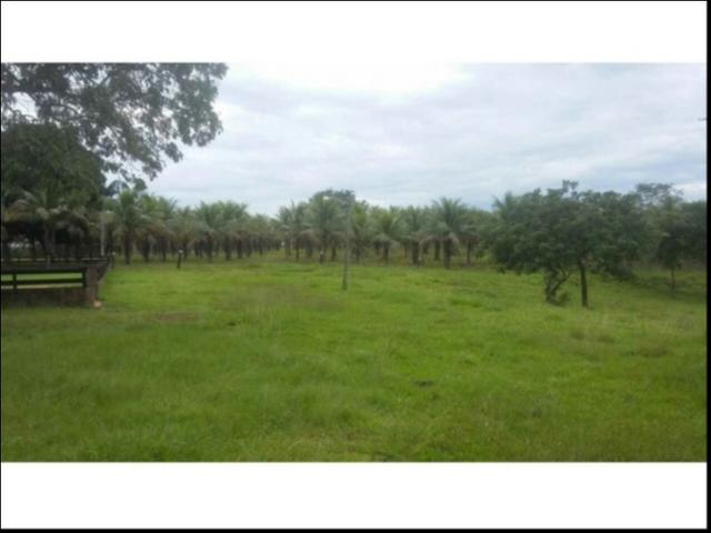 Fazenda em Cáceres 700 hectares - Foto 8