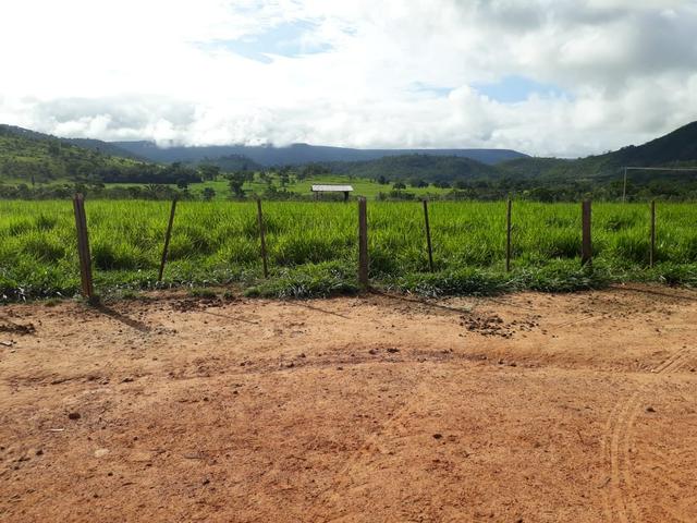 Fazenda em Santo Antônio á venda - Foto 8