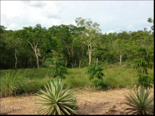 Chácara Coxipó do ouro á venda 27 hectares - Foto 6