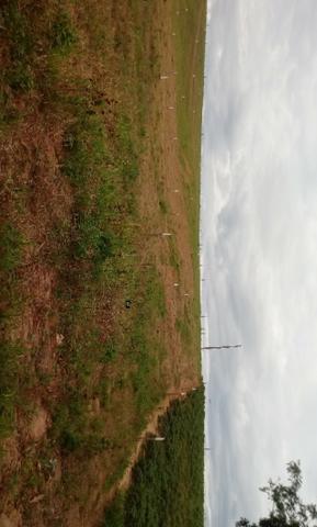 Lotes - Foto 4