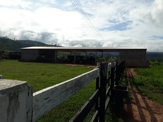 Fazenda em Santo Antônio á venda - Foto 13