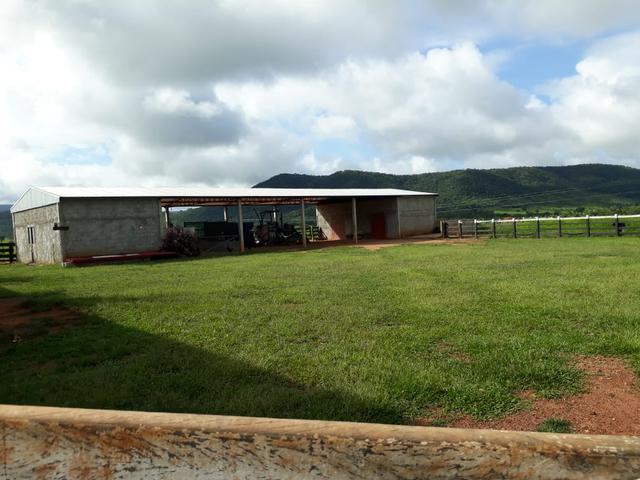 Fazenda em Santo Antônio á venda - Foto 11