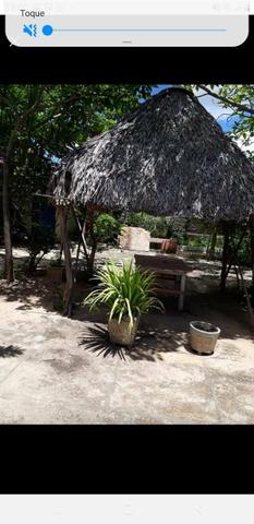 Terreno em Barra Grande - Foto 4