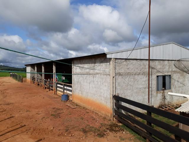 Fazenda em Santo Antônio á venda - Foto 15