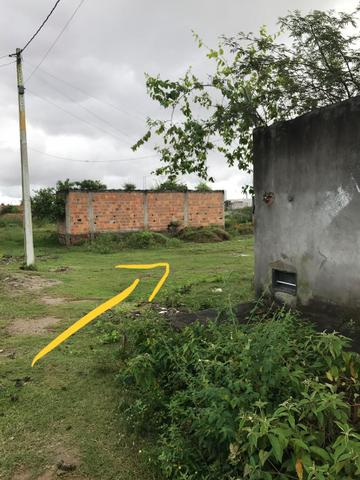 Terreno