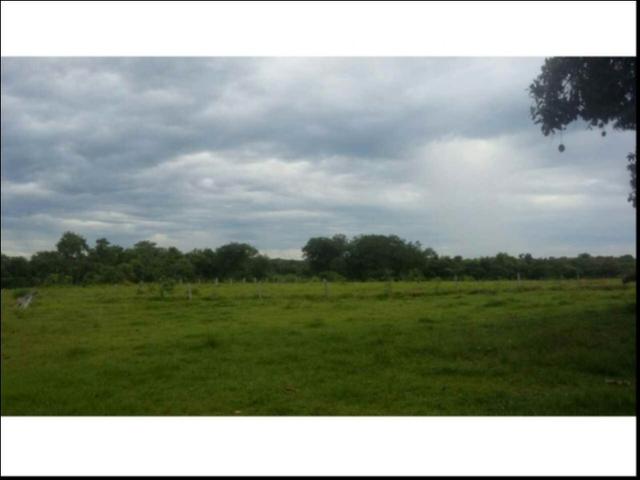 Fazenda em Cáceres 700 hectares - Foto 2