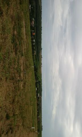Lotes - Foto 8