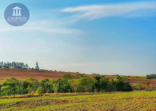 Chácara de 60.000 m² em Iguaraçu, PR - Próxima ao Ody Park Aquático - Foto 3