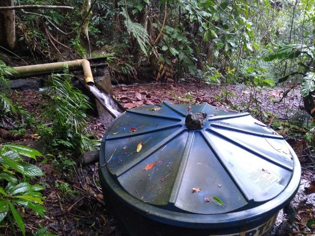 Sítio Viana 8 alqueires - Foto 5