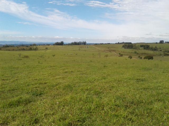 Fazenda de 51 alqueires - Foto 2