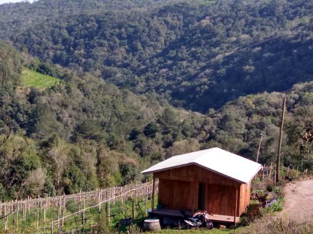 Chácara São Gotardo de Ana Rech 2500m Rio São Marcos 1/4ha - Foto 7