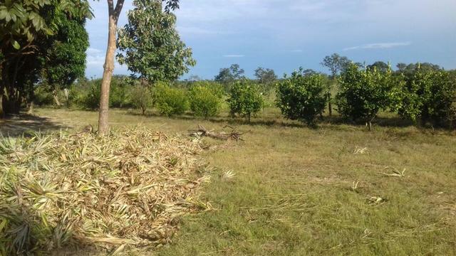 Vendo Sitio / Chácara 72 hectares, Pecuária ou lavoura, Casa, energia, Agua, Nobres - Foto 4