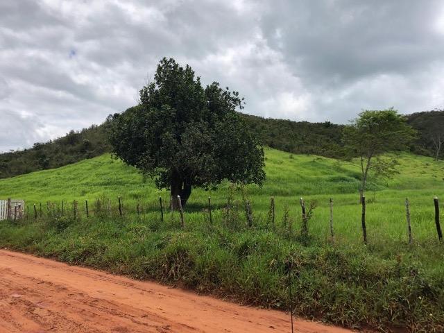 Fazenda Rio Branco - Foto 16