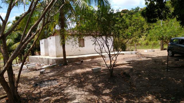 Sítio - União dos Palmares - Foto 15