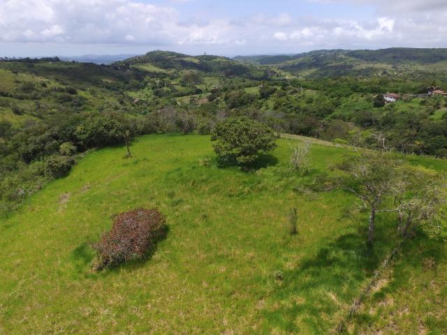 Sítio 7 Hectares - 5 Nascentes em Chã Grande - Foto 13