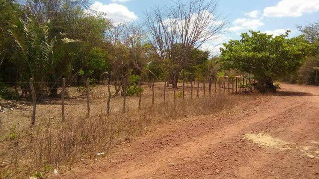 Terreno em nazaria - Foto 6