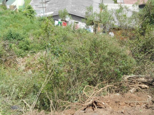 Vendo terreno Cidade Nova II - Foto 4