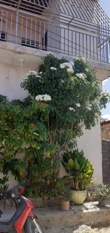 Alugo Casa Duplex