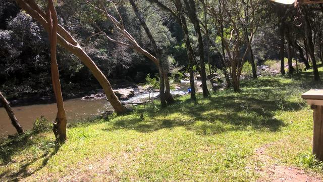 Chácara São Gotardo de Ana Rech 2500m Rio São Marcos 1/4ha - Foto 8