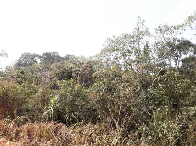 Ref. 2518 Excelente terreno para formar chácara, contendo 46.270,34 m² - Foto 12