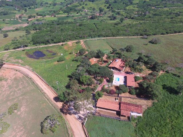 Sítio 12 Hectares c/ Casa sede de 3 Quartos em Serra Negra - Foto 6