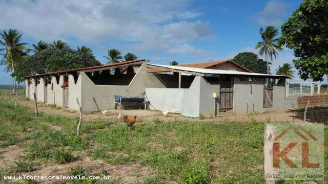 Grande oportunidade, fazenda com 37 hectares, casa sede, em Ielmo Marinho - Foto 6