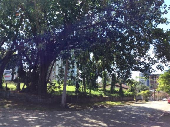 Terreno para alugar em Anita garibaldi, Joinville cod:04301.004