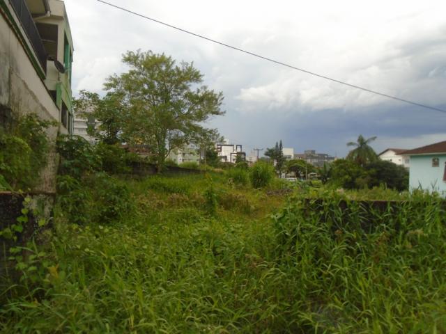 Terreno para alugar em Santo antonio, Joinville cod:07792.003 - Foto 7