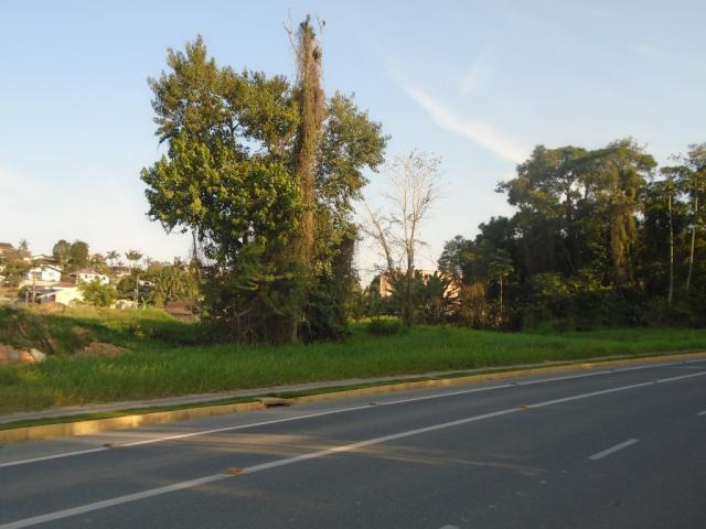 Terreno para alugar em Floresta, Joinville cod:06772.001 - Foto 4