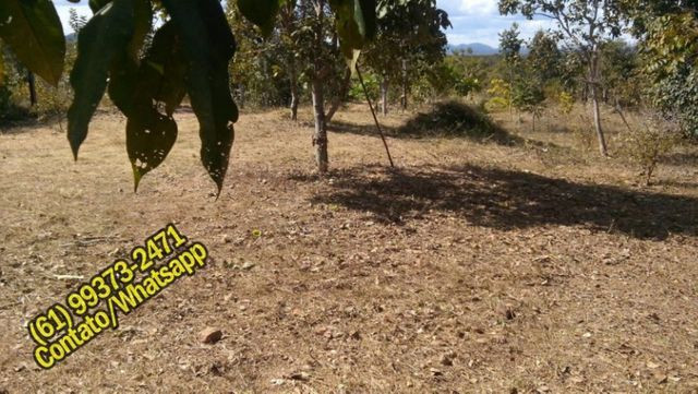 Ótima Casa Mobiliada no Lago de Serra da Mesa, Niquelândia, Goias. Aceita Carro - Foto 15