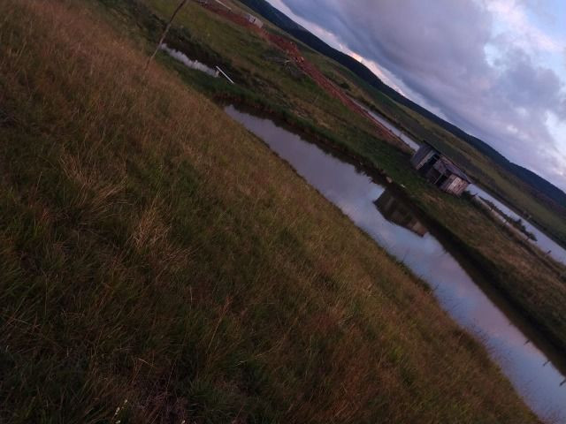 Chácara - Foto 5