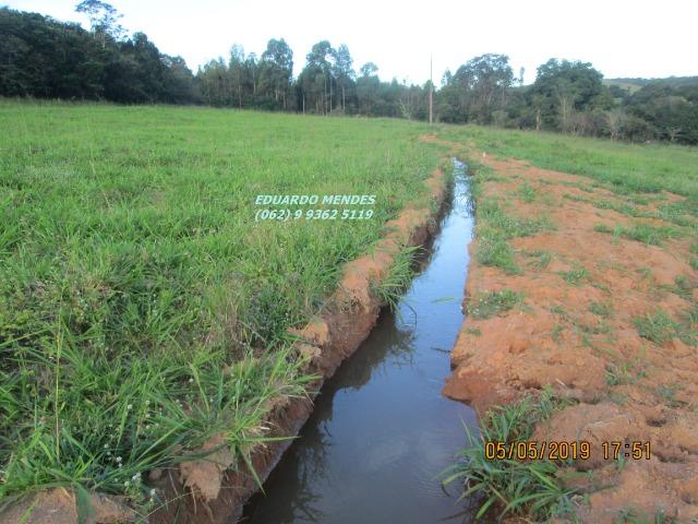 Chácara de lazer c/ água a 1 km de Gameleira de Goiás - Foto 8