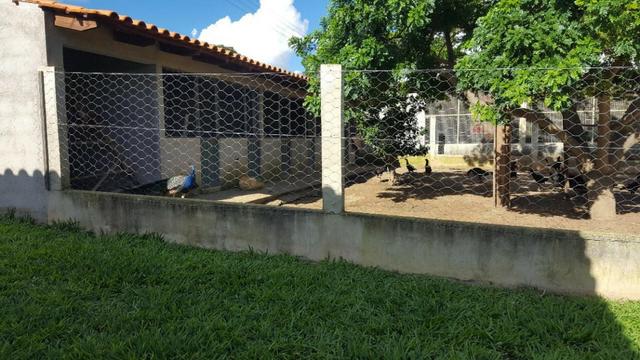 Ótima fazenda colado no Gama, a 27km - Foto 9