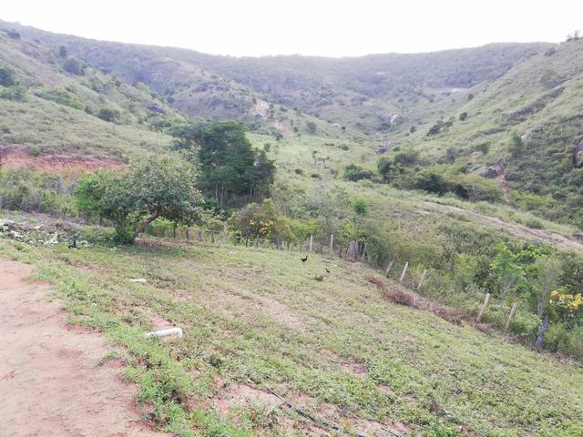 Fazenda de 945 hectares em Minas Gerais - Foto 9