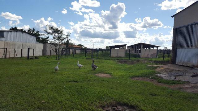 JP 012 - Ótima fazenda colado no Gama, a 27km - Foto 4