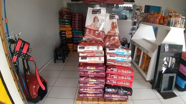 Petshop / Banho e Tosa completo - Foto 4