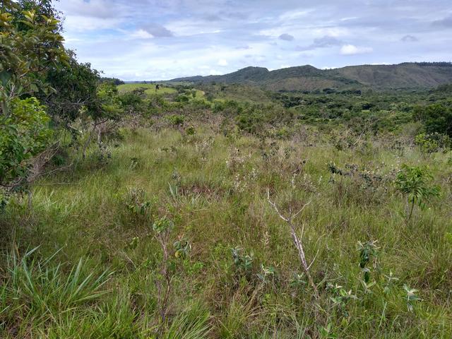 Sítio com 38 hectares as margens do Ribeirao Ze Pedro! - Foto 4