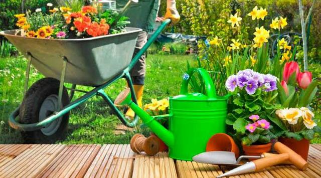 Jardinagem, Construções e Reformas