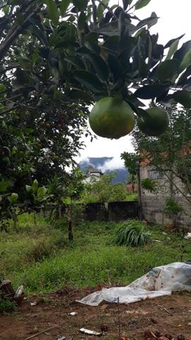 Terreno perto de tudo, comércio, praias, escolas , cachoeiras. - Foto 2
