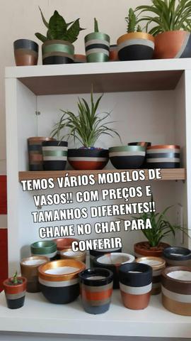 Lindos vasos de plantas!! - Foto 6
