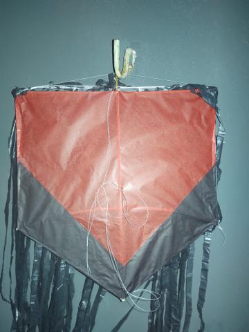 Pipa raiz - Foto 2