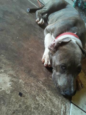 Vendo ou troco - Foto 3