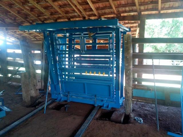 Brete de Contenção Bovino, brete para gado