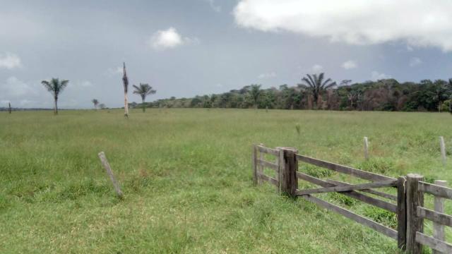 Fazenda - Foto 4